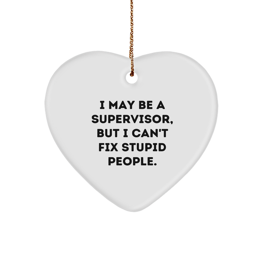 Funny Supervisor Gifts: I May Be A Supervisor, But I Can't Fix Stupid People Christmas Ornaments for Supervisors Gifts from Mom to Son or Daughter - Image 1