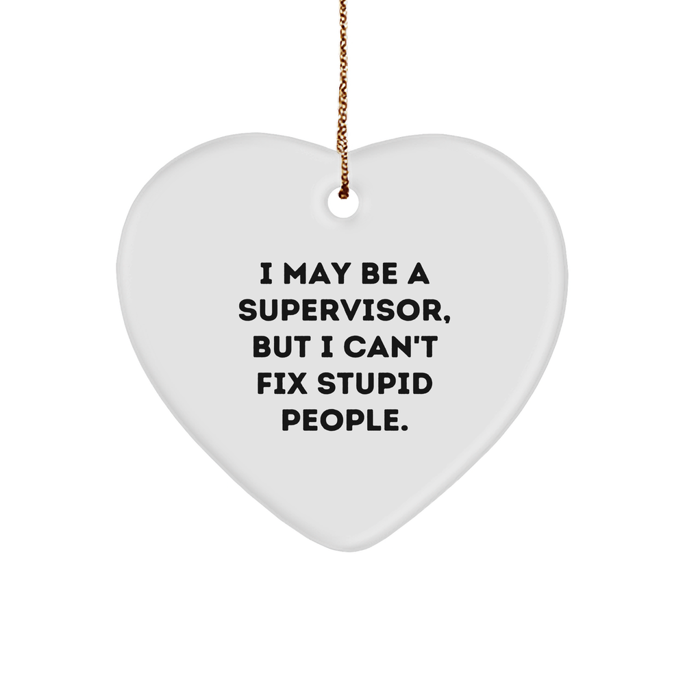 Funny Supervisor Gifts: I May Be A Supervisor, But I Can't Fix Stupid People Christmas Ornaments for Supervisors Gifts from Mom to Son or Daughter - Image 1