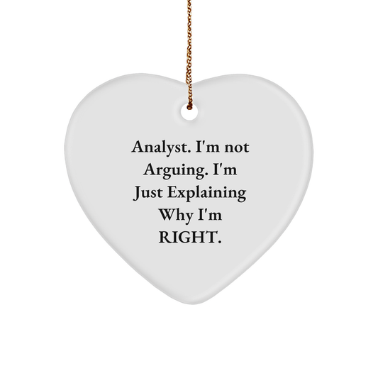 Funny Analyst Heart Ornament Gifts from Men to Coworkers, Perfect Christmas Unique Gifts for Women Friends Family - Image 1