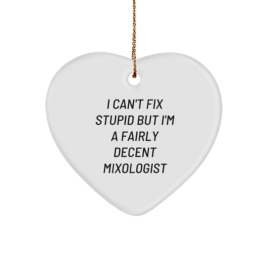 Funny Mixologist Heart Ornament Gifts from Men to Friends on Christmas, 'I Can't Fix Stupid But I'm A Fairly Decent Mixologist' Quote - Image 1