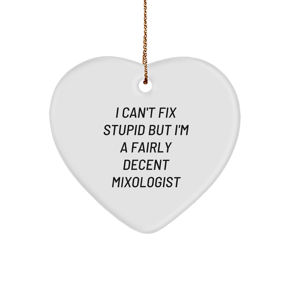 Funny Mixologist Heart Ornament Gifts from Men to Friends on Christmas, 'I Can't Fix Stupid But I'm A Fairly Decent Mixologist' Quote - Image 1