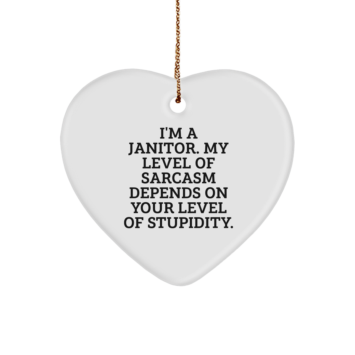 Janitor Gifts from Men, Funny Heart Ornament for Janitor, I'm A Janitor. My Level Of Sarcasm Depends On Your Level Of Stupidity. Christmas Unique Gifts - Image 1