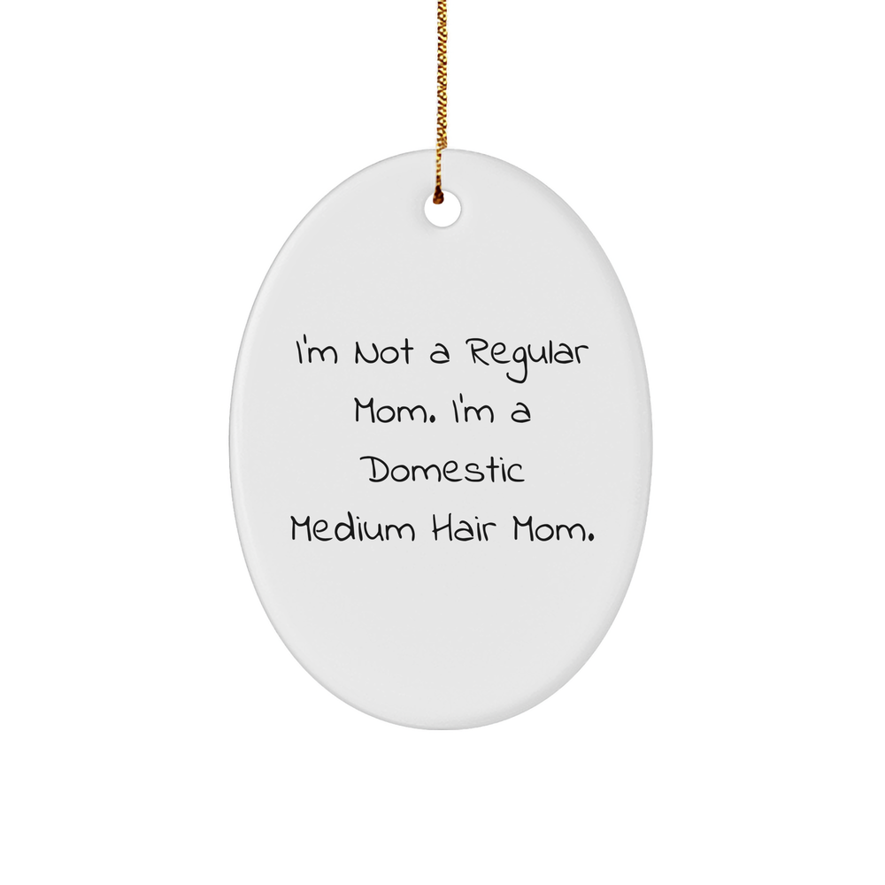 Domestic Medium Hair Cat Gifts, Funny Quote Oval Ornament, Christmas Unique Gifts from Mom to Domestic Medium Hair Cat - Image 1