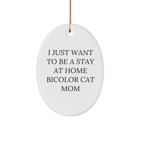 Bicolor Cat Mom Gifts from Family - Funny Oval Ornament for Christmas Unique Gifts - Image 1