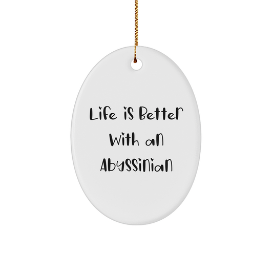 Abyssinian Cat Oval Ornament | Life Is Better With An Abyssinian | White Sturdy MDF, 3 inch, Gold-Tone String, Christmas Unique Gift - Image 1