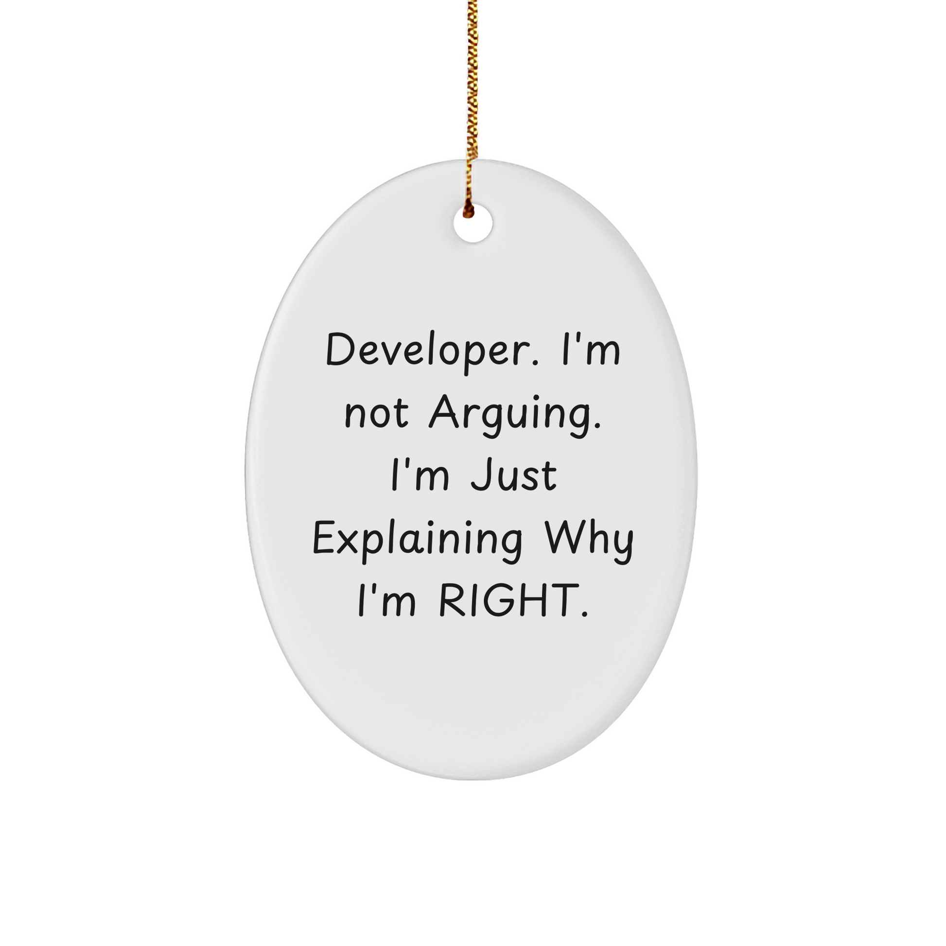 Developer Gifts from Friends, Not Arguing Oval Ornament for Christmas, Funny Quote - Image 1