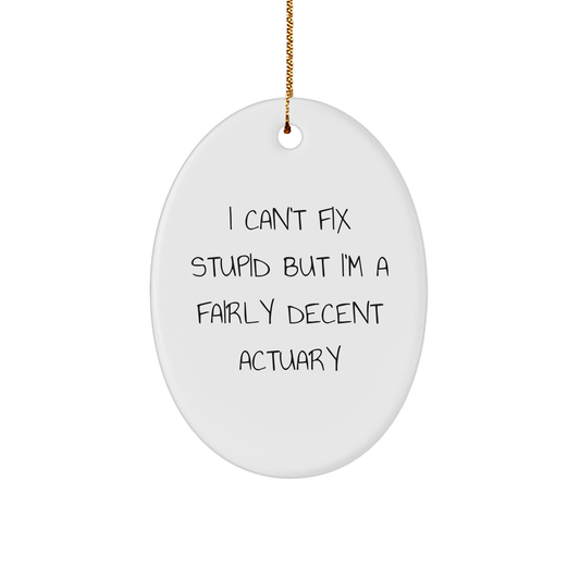 Funny Actuary Gifts for Men - Oval Ornament with I Can't Fix Stupid But I'm A Fairly Decent Actuary Quote, Christmas Unique Gifts from Friends - Image 1