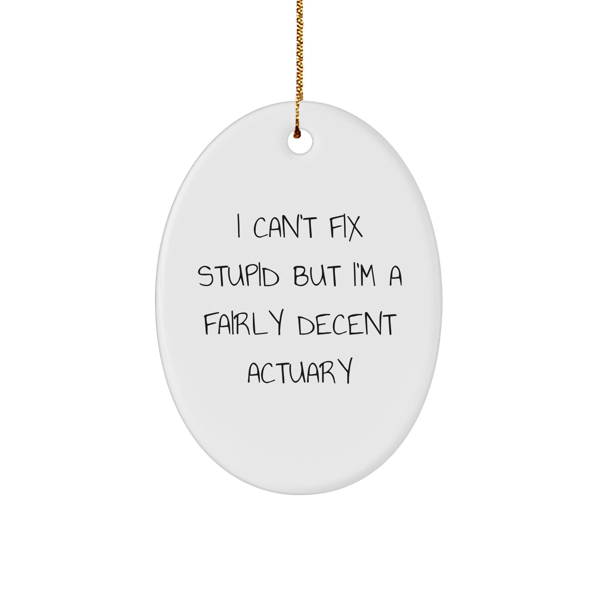 Funny Actuary Gifts for Men - Oval Ornament with I Can't Fix Stupid But I'm A Fairly Decent Actuary Quote, Christmas Unique Gifts from Friends - Image 1