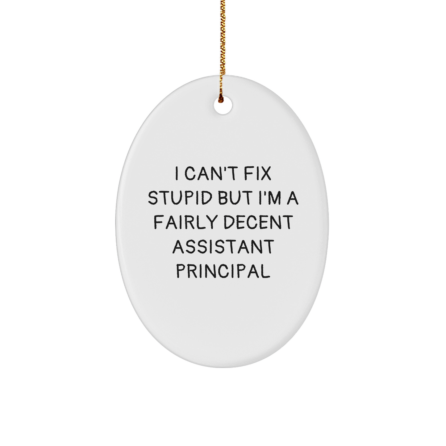 Funny Assistant Principal Oval Ornament Gifts from Men to Friends - I Can't Fix Stupid But I'm A Fairly Decent Assistant Principal, Christmas Unique Gifts for Assistant Principal - Image 1