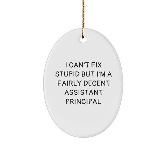 Funny Assistant Principal Oval Ornament Gifts from Men to Friends - I Can't Fix Stupid But I'm A Fairly Decent Assistant Principal, Christmas Unique Gifts for Assistant Principal - Image 1