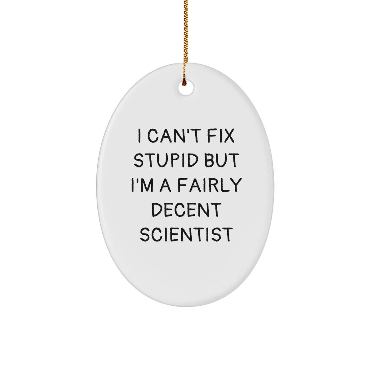 Funny Scientist Gifts for Men - Oval Ornament with 'I Can't Fix Stupid But I'm A Fairly Decent Scientist' Quote - Christmas Memorable Present from Friends - Image 1