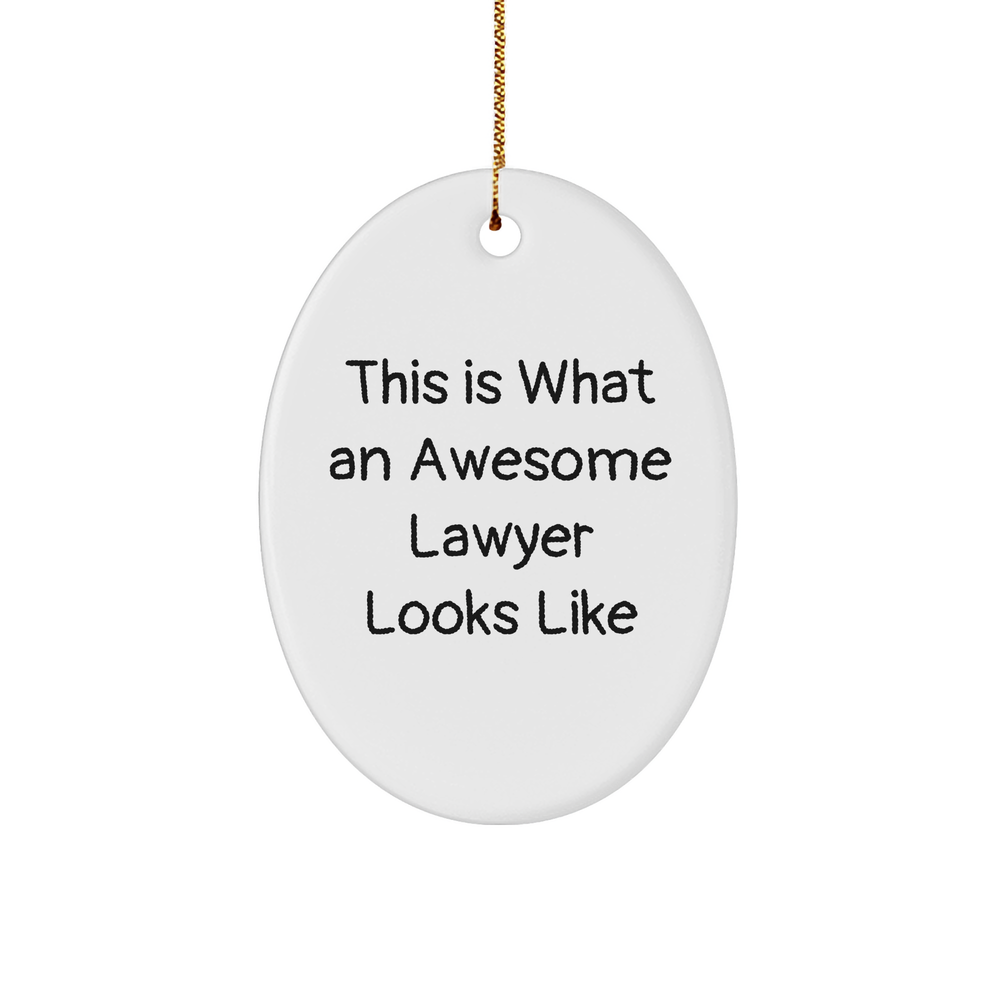 Inspirational Lawyer Gifts: This Is What Awesome Lawyers Look Like Oval Ornament for Lawyer-Themed Gifts, Unique Christmas Unique Gifts for Lawyers from Family - Image 1