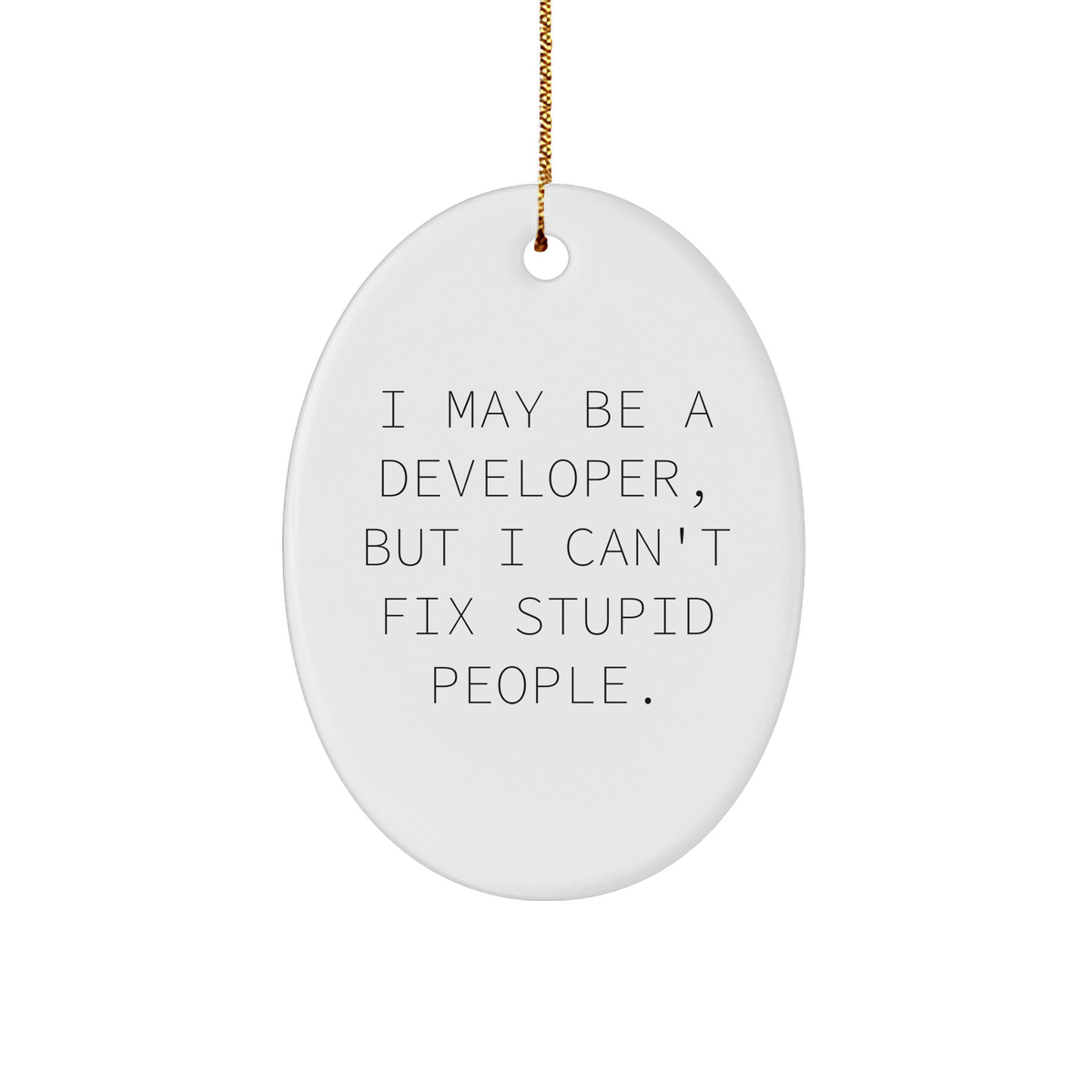 Developer Humor Oval Ornament, Gifts from Men to Coworkers, Perfect for Christmas - Image 1