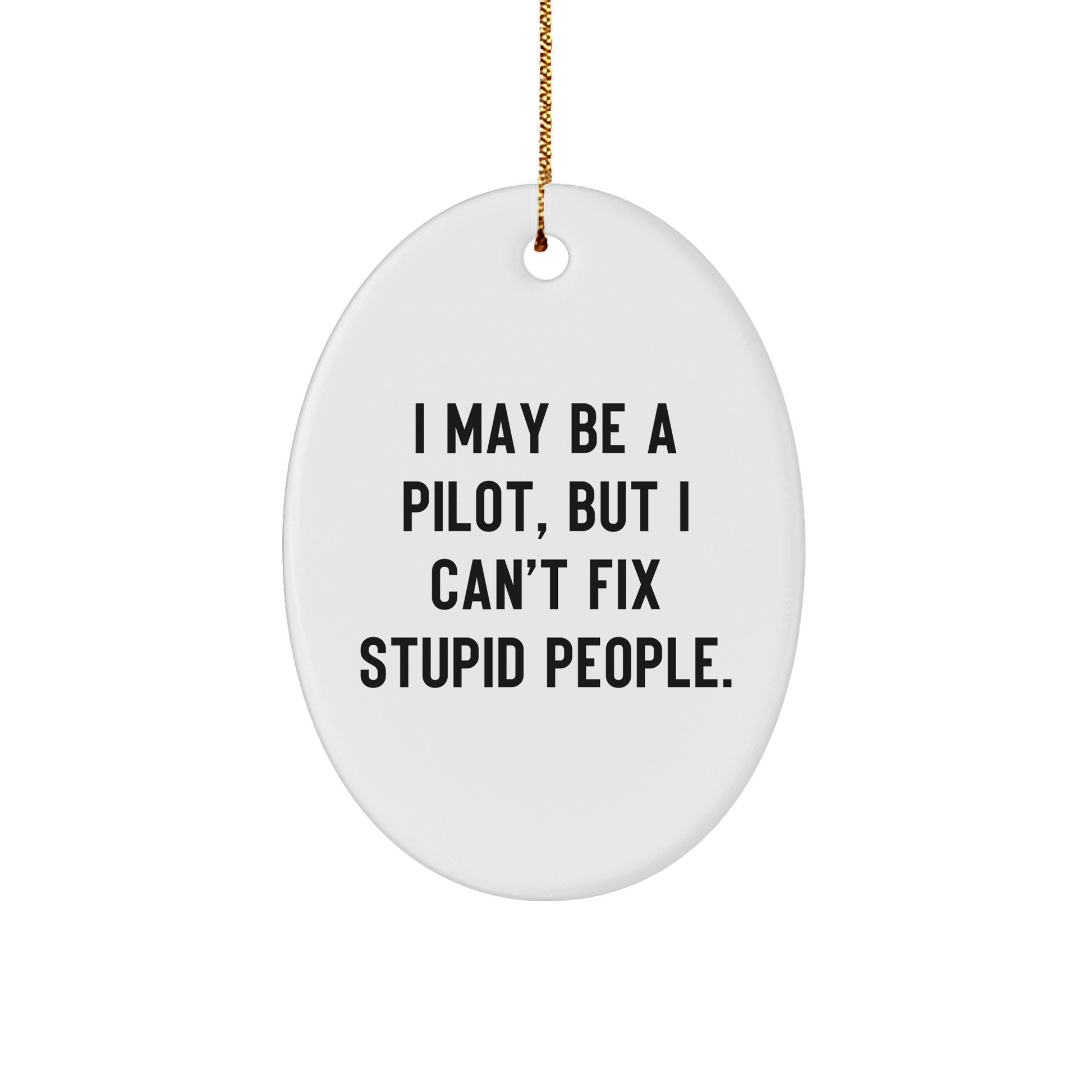 Pilot Gifts from Men to Friends, Funny Oval Ornament for Christmas Unique Gifts, I May Be A Pilot, But I Can't Fix Stupid People., Pilot Oval Ornament - Image 1