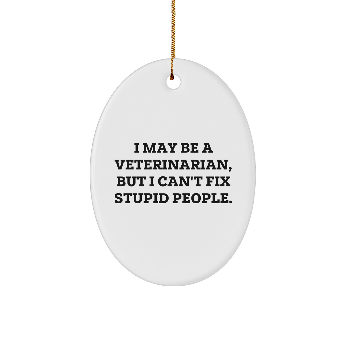 Veterinarian Gifts for Men, Funny Oval Ornament - I May Be A Veterinarian, But I Can't Fix Stupid People, Gifts from Friends for Christmas - Image 1