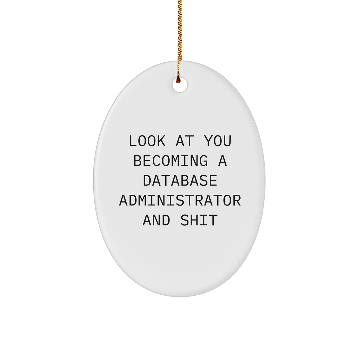 Database Administrator Oval Ornament, Funny Gift from Friends for Christmas: 'Look At You Becoming A Database Administrator And Shit' Gifts for Men - Image 1