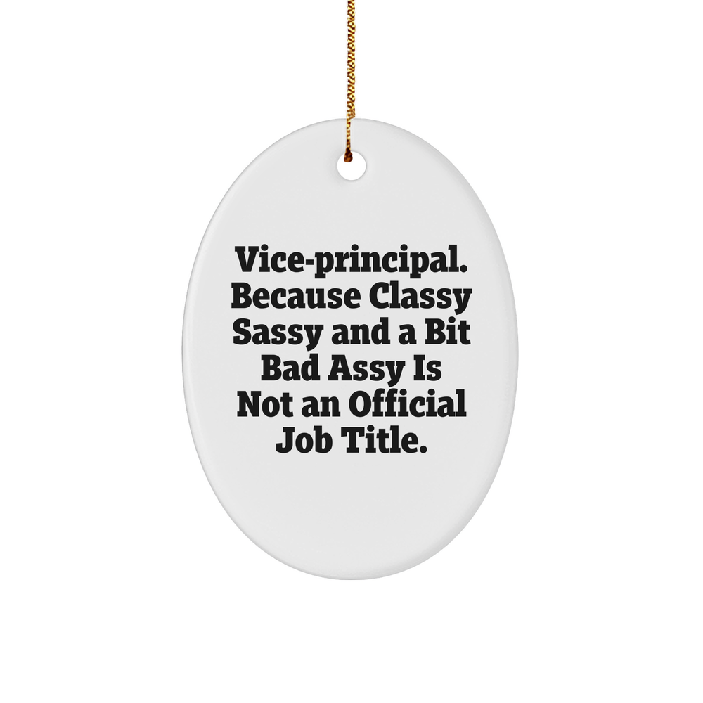 Vice-Principal Job Title Funny Oval Ornament Gifts for Christmas Unique Vice-Principal Gifts, Vice-Principal Humor, Vice-Principal Office Decorations, Vice-Principal Appreciation Gifts - Image 1