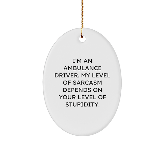 Ambulance Driver Oval Ornament Funny Gifts for Ambulance Drivers Sarcasm Quotes Christmas Unique Gifts from Loved Ones to Ambulance Pro - Image 1