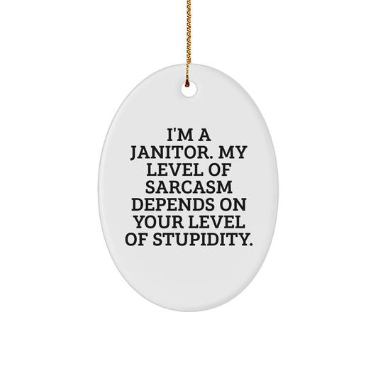 Funny Janitor Gifts for Men, I'm A Janitor. My Level Of Sarcasm Depends On Your Level Of Stupidity., Oval Ornament, Christmas Unique Gifts from Friends to Family, Gifts for Janitors - Image 1