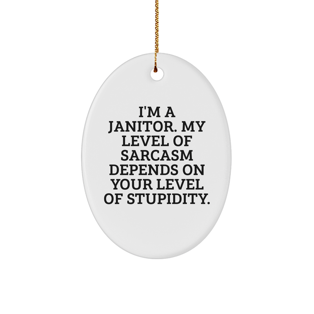 Funny Janitor Gifts for Men, I'm A Janitor. My Level Of Sarcasm Depends On Your Level Of Stupidity., Oval Ornament, Christmas Unique Gifts from Friends to Family, Gifts for Janitors - Image 1