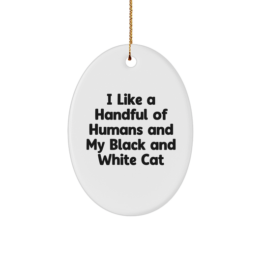 I Love My Black and White Cat Gifts from Friends and Family for Christmas Oval Ornament - Image 1