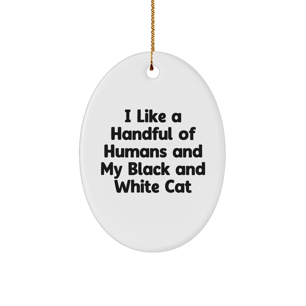 I Love My Black and White Cat Gifts from Friends and Family for Christmas Oval Ornament - Image 1