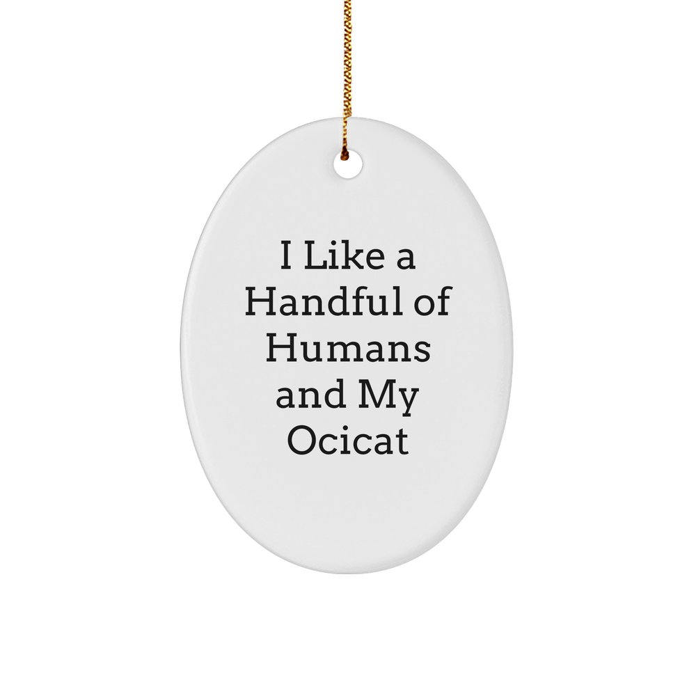 Ocicat Lovers Rejoice! Funny Gifts for Cat Enthusiasts - I Like A Handful Of Humans And My Ocicat Oval Ornament - Unique Christmas Unique Gifts from Home - Image 1
