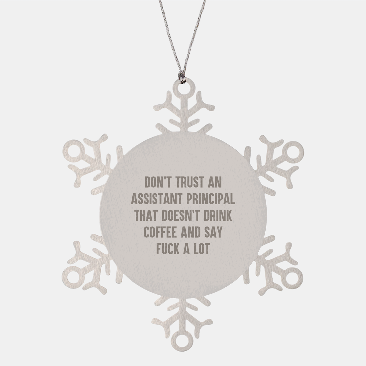 Assistant Principal Gift Snowflake Ornament Christmas Funny Quote - Image 1
