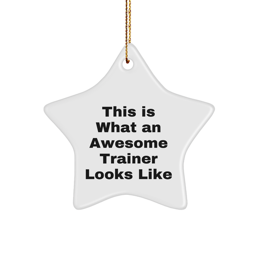 This Is What An Awesome Trainer Looks Like Christmas Unique Gifts | Funny Star Ornament Gifts from Trainer for Trainer - Image 1