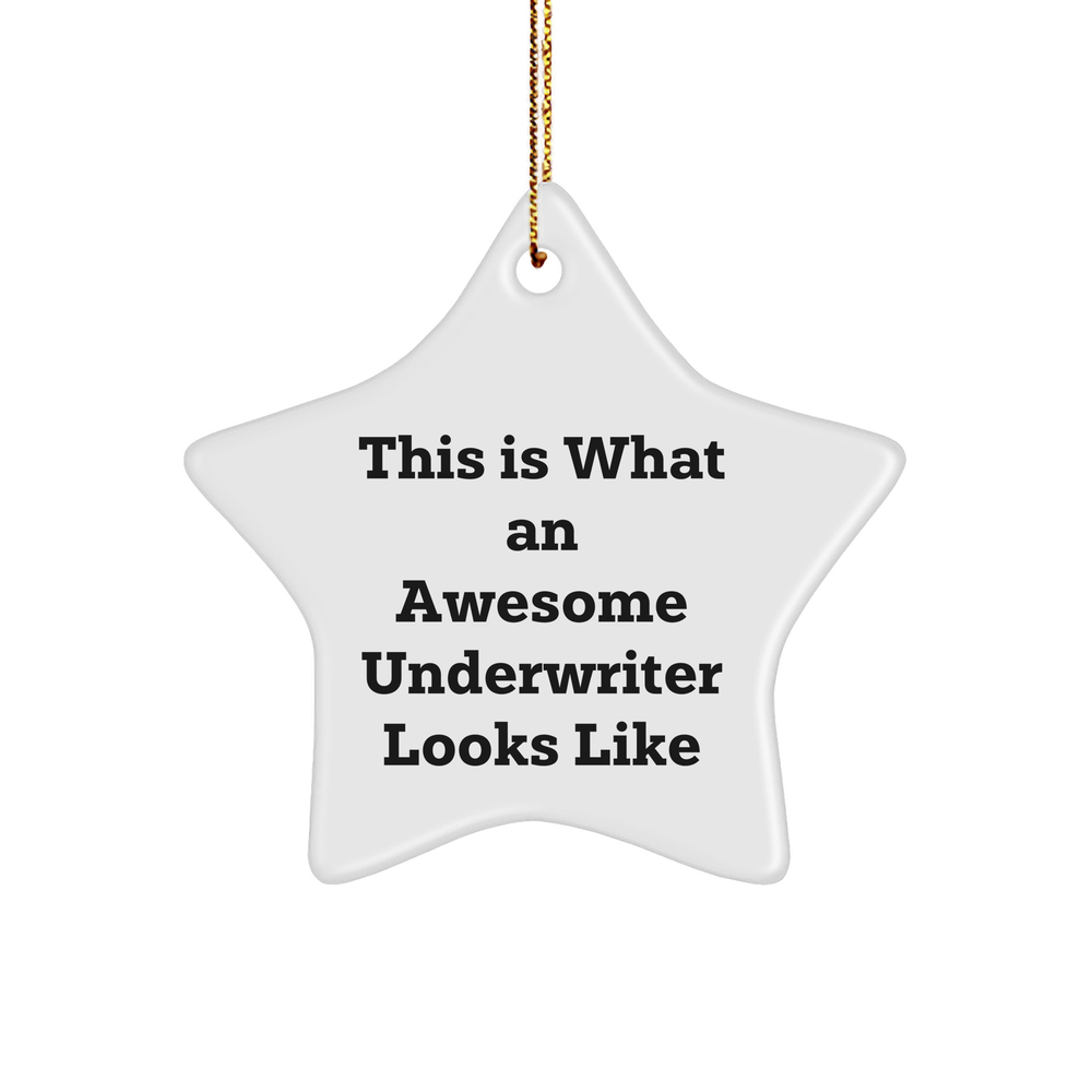 Funny Underwriter Gifts - This Is What An Awesome Underwriter Looks Like Star Ornament - Unique Christmas Unique Gifts for Underwriters - Image 1