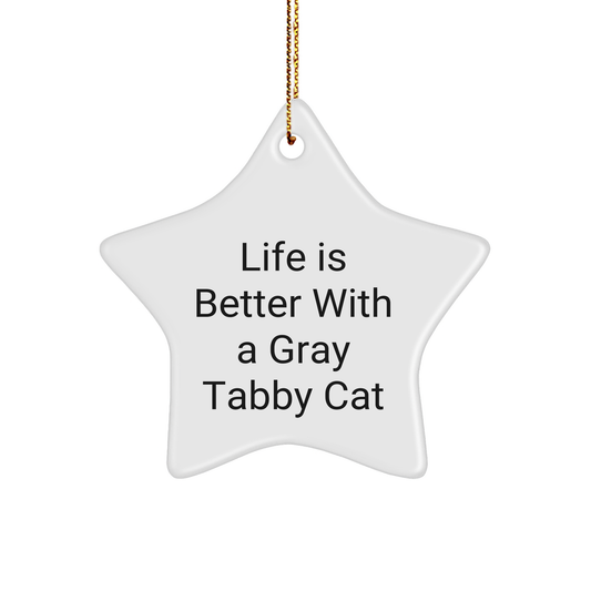 Gray Tabby Cat Star Ornament, Funny Quote Gifts for Men, Women, or Friends, Unique Christmas Decorations from Home - Image 1