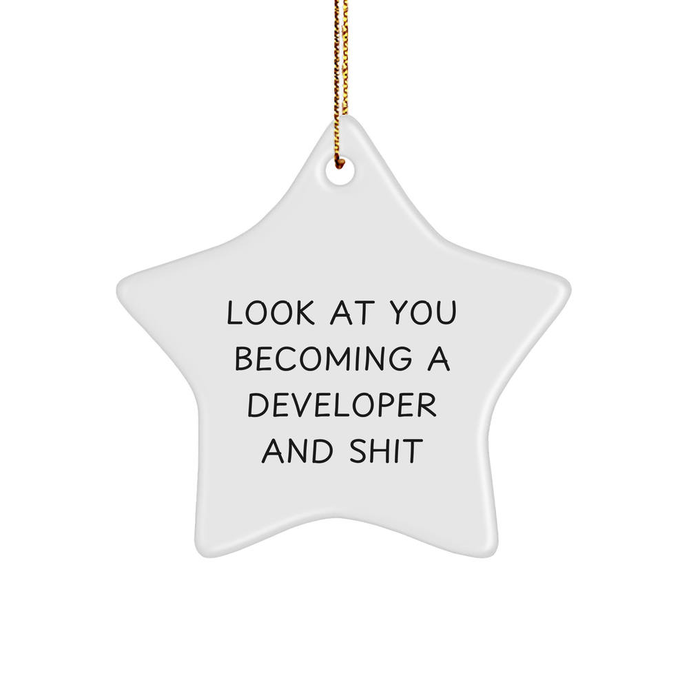 Developer Gifts from Friends - Look At You Becoming a Developer and Shit, Star Ornament for Christmas, Unique Gift for Men or Women - Image 1
