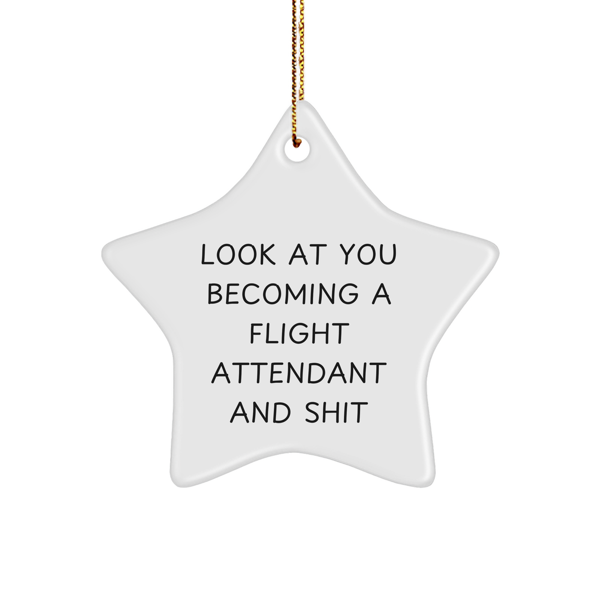 Flight Attendant Gifts for Her, Funny Star Ornament, 'Look At You Becoming A Flight Attendant And Shit' - Christmas Unique Treasures from Friends and Family - Image 1