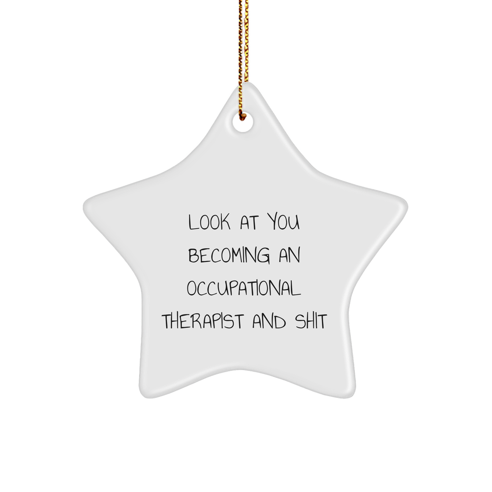 Occupational Therapist Star Ornament Gift for Occupational Therapist Funny Quote Christmas Decor - Image 1