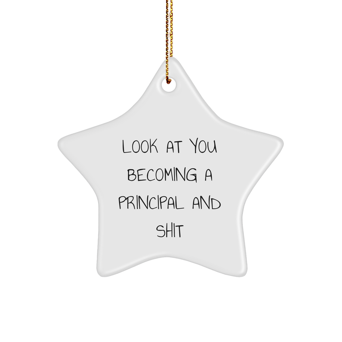 Funny Principal Star Ornament Gifts from Men for Christmas, Inspirational Look At You Becoming A Principal And Shit Star Shaped MDF Board Hanging Decoration - Image 1