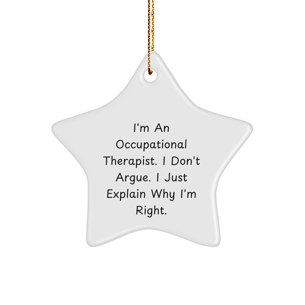 Funny Occupational Therapist Gifts from Friends for Christmas - 'I Don't Argue' Star Ornament, Unique Occupational Therapist Christmas Unique Gifts - Image 1