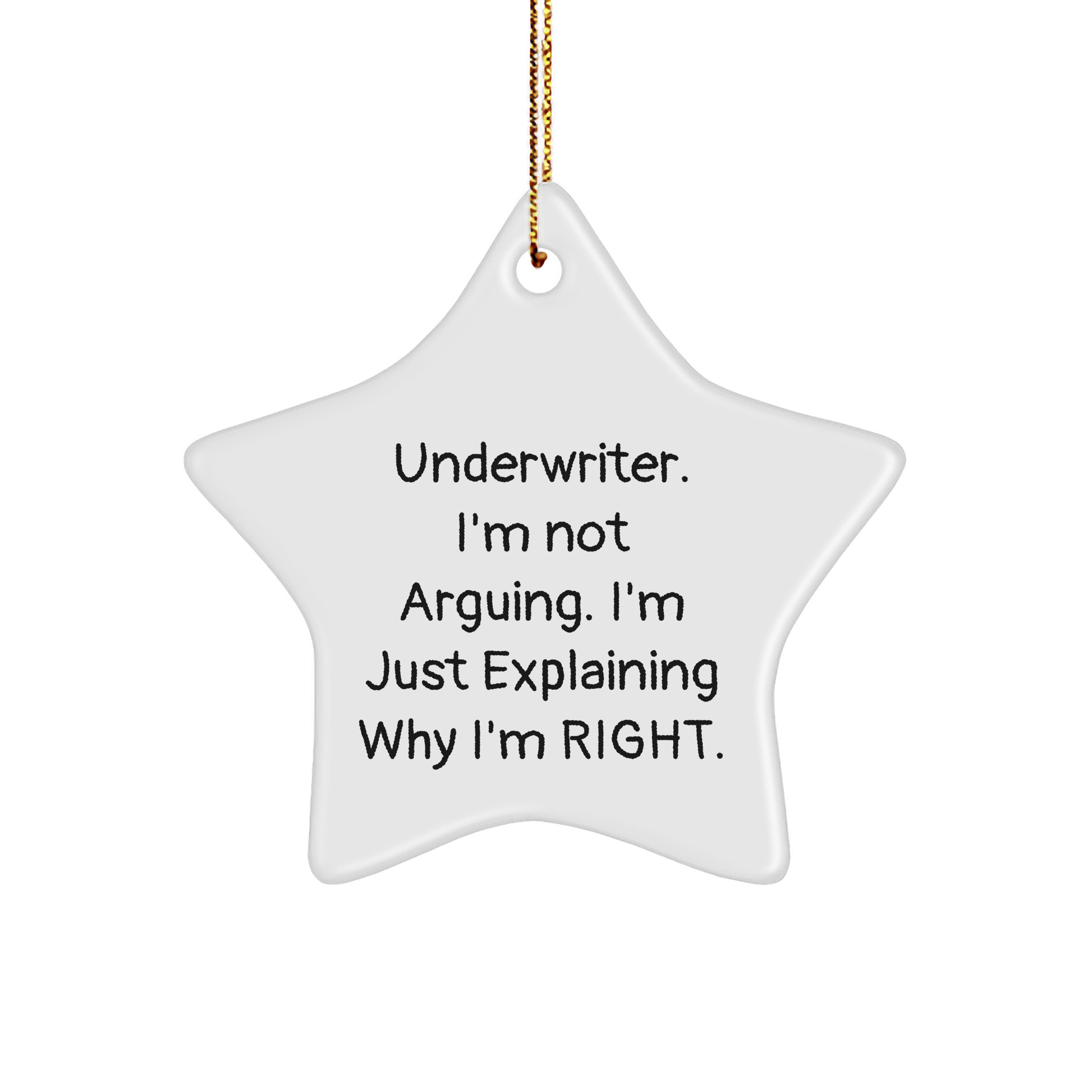 Funny Underwriter Gifts, Star Ornament Underwriter, I'm Not Arguing. I'm Just Explaining Why I'm Right. MDF Star Shaped Decor, Christmas Unique Gift for Underwriter - Image 1