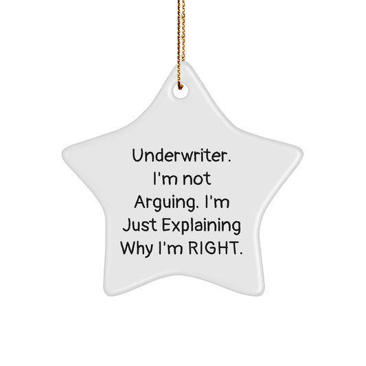 Funny Underwriter Gifts, Star Ornament Underwriter, I'm Not Arguing. I'm Just Explaining Why I'm Right. MDF Star Shaped Decor, Christmas Unique Gift for Underwriter - Image 1