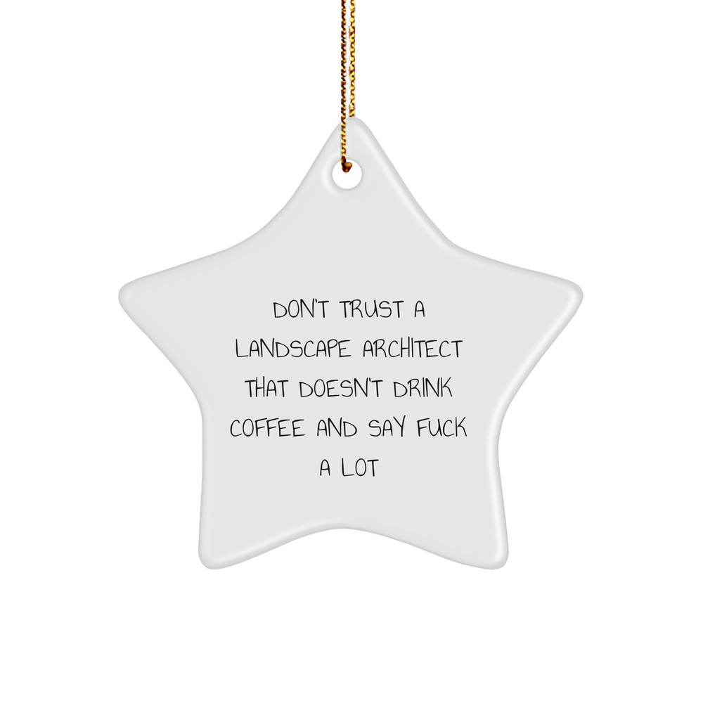 Funny Landscape Architect Gifts from Friends to Coworkers - Don't Trust A Landscape Architect That Doesn't Drink Coffee And Say 'F--k A Lot' Star Ornament, Perfect for Christmas - Image 1