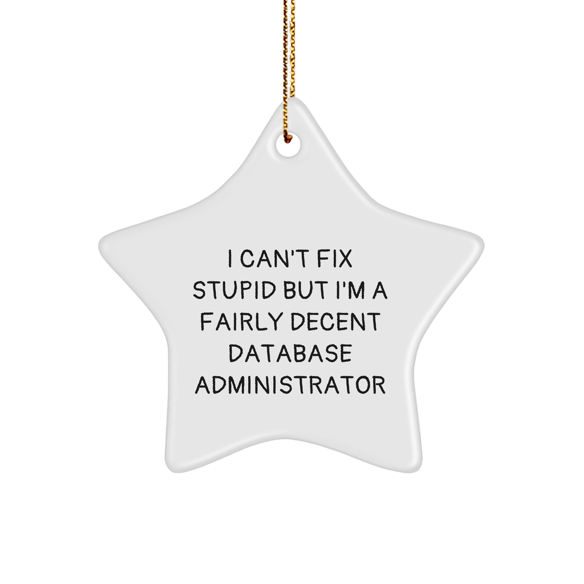 Gifts from Friends and Family for Database Administrators - I Can't Fix Stupid But I'm A Fairly Decent Star Ornament, Christmas Fun, Funny Quote, Database Administrator Gifts - Image 1