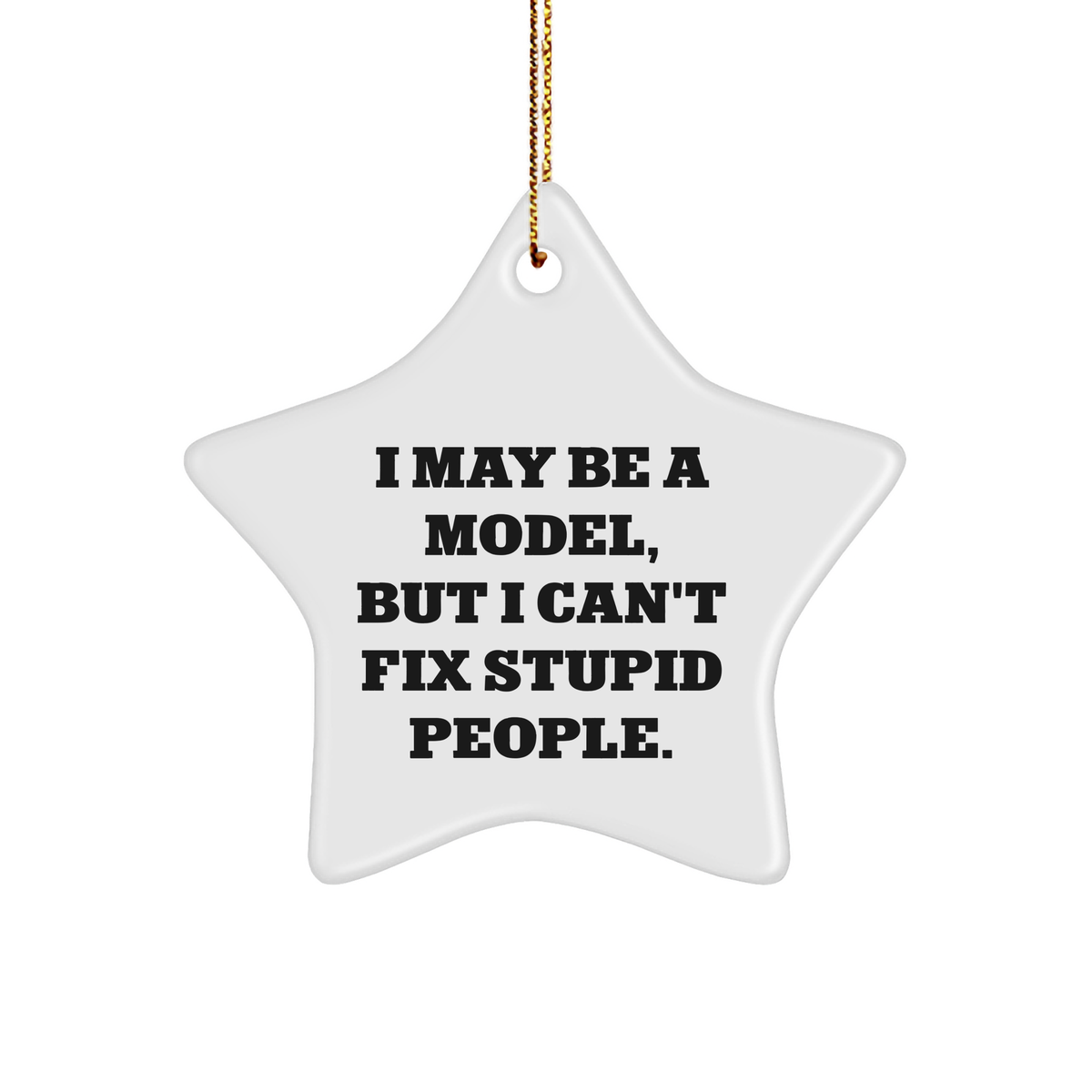 Model Star Ornament Funny Gift for Model Enthusiasts or Christmas Decorations with Funny Quote Gifts from Men to Friends - Image 1