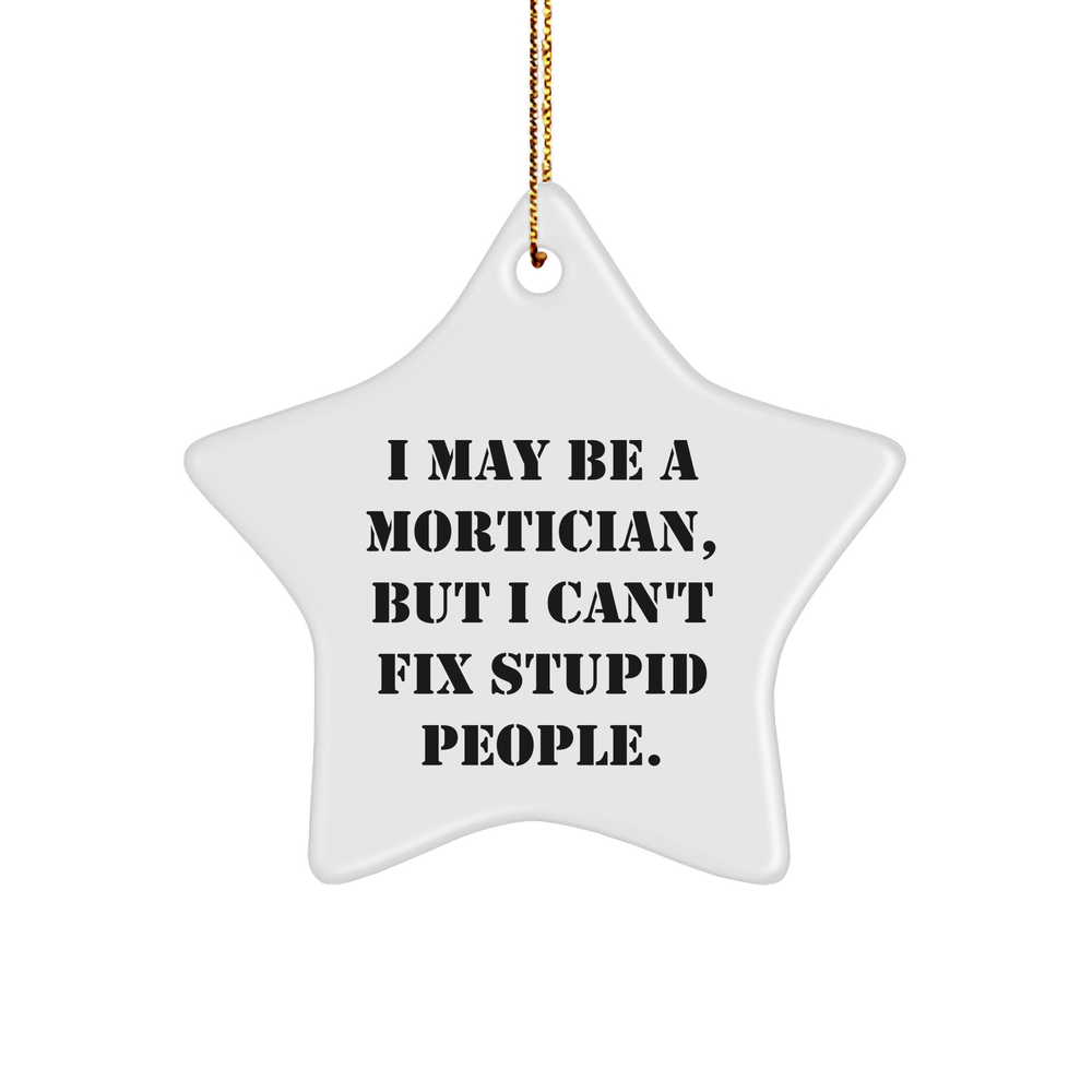 Funny Mortician Gifts for Her, I May Be a Mortician, but I Can't Fix Stupid People, Unique Star Ornament, Christmas Decor, Gifts from Women, Gifts for Mortician - Image 1