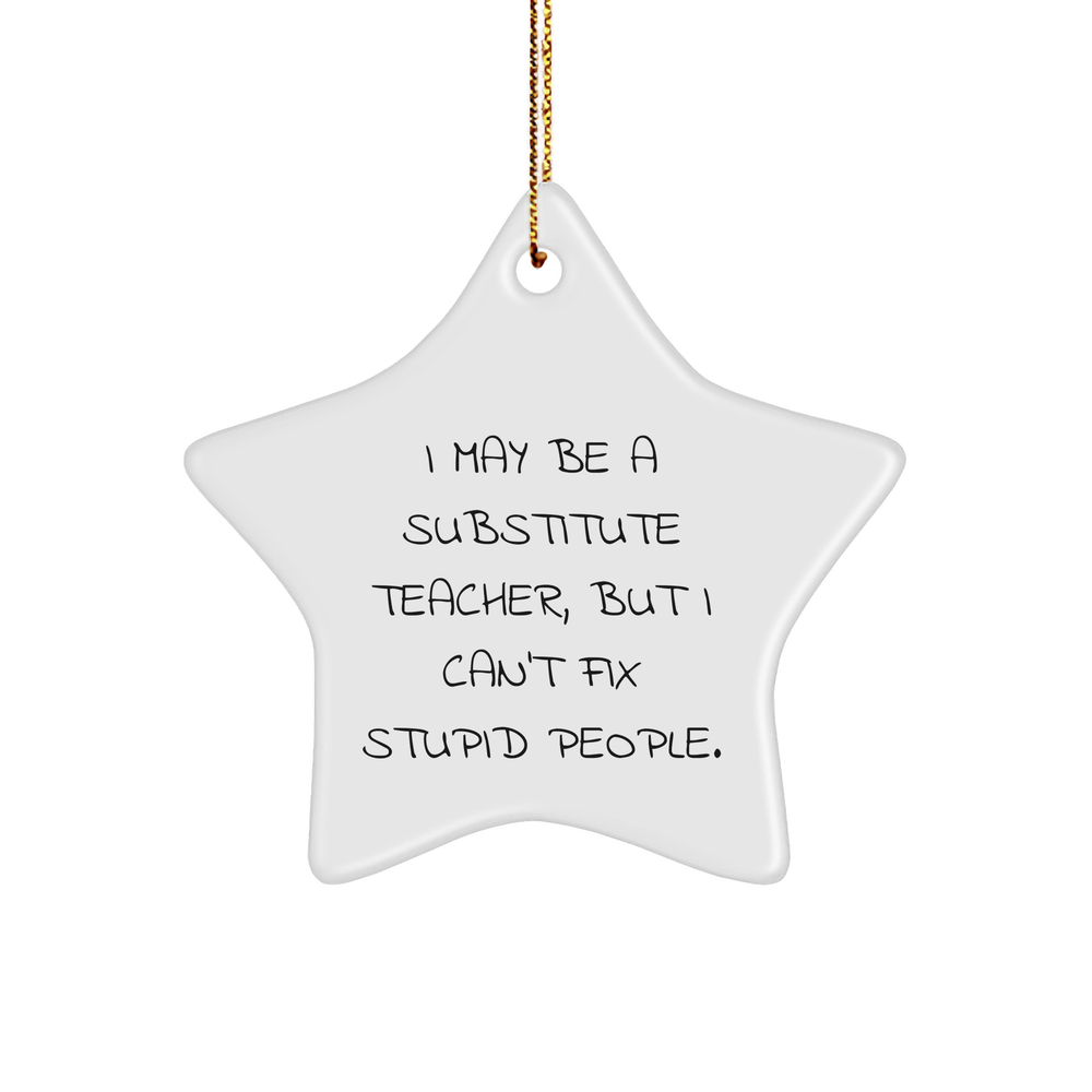 Inspirational Substitute Teacher Gifts Funny Sarcasm Star Ornament for Her Him Christmas Tree Decor Unique Presents under 10 Gifts from Family Friends for Substitute Teachers - Image 1