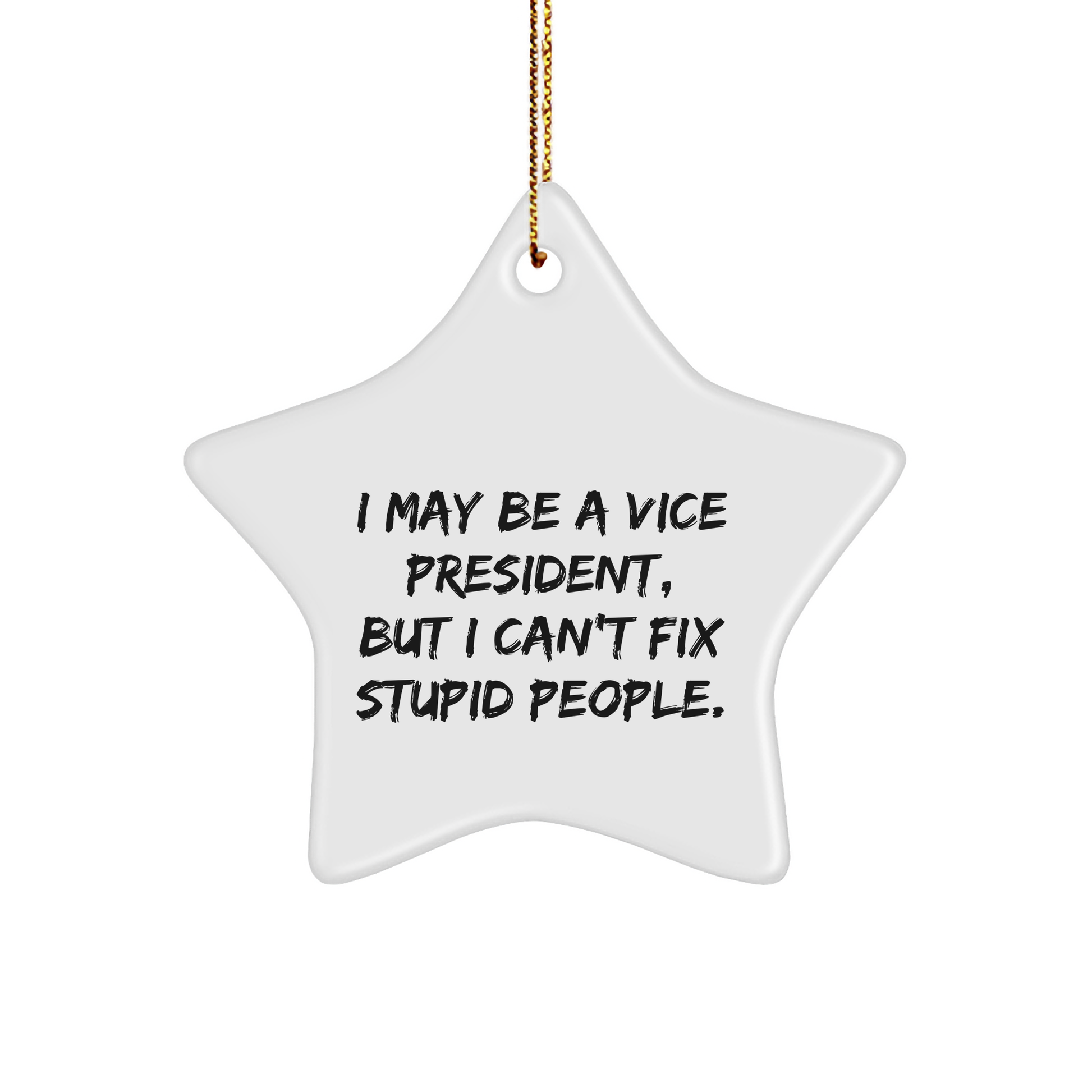 Vice President Gifts from Men to Vice President, Funny Quote Star Ornament for Christmas, I May Be a Vice President, But I Can't Fix Stupid People. - Image 1
