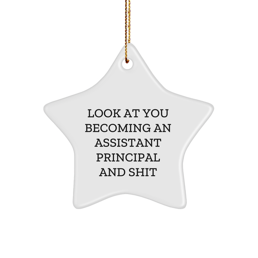 Funny Assistant Principal Gifts, 'Look At You Becoming An Assistant Principal And Shit' Star Ornament, Gifts from Men to Assistant Principal for Christmas - Image 1