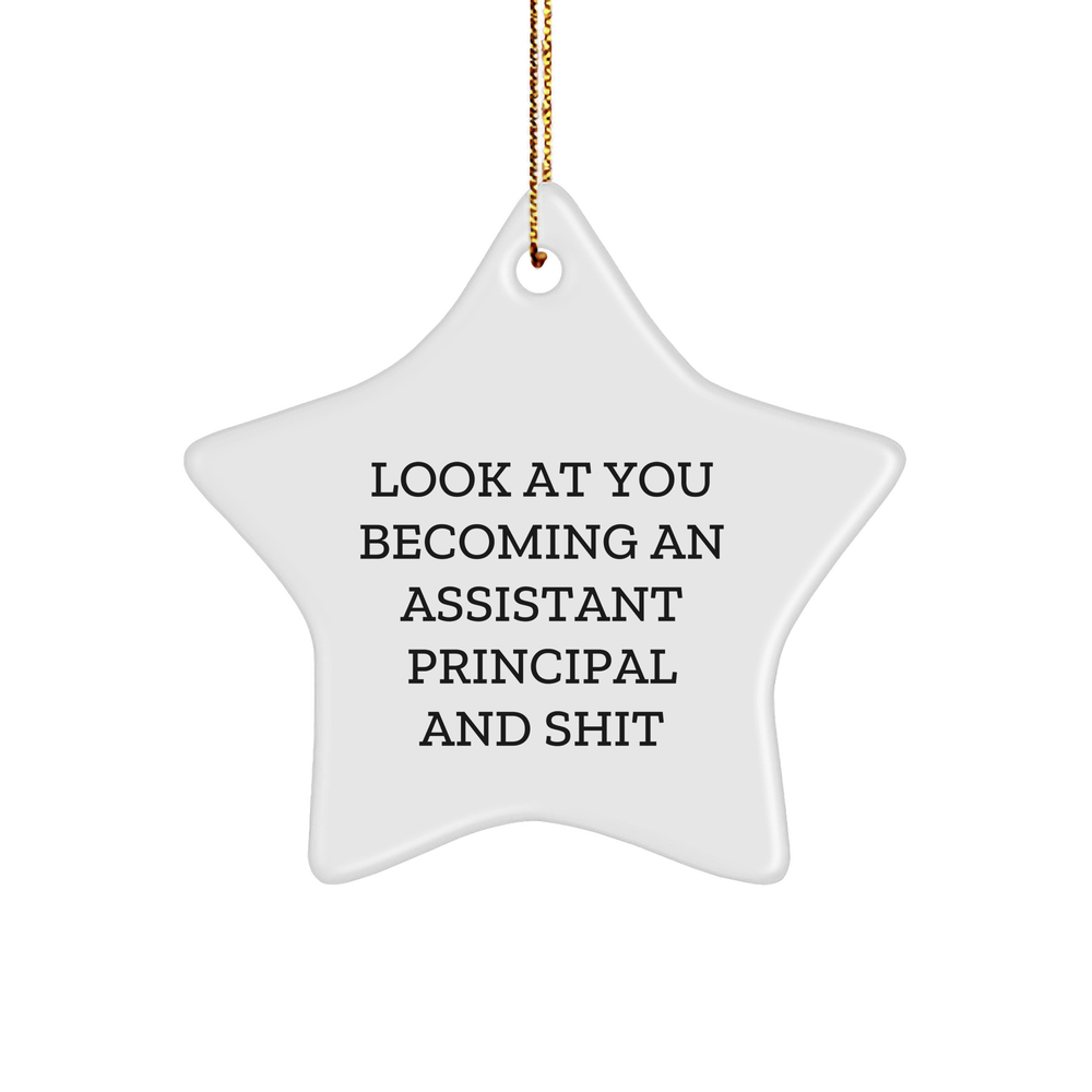 Funny Assistant Principal Gifts, 'Look At You Becoming An Assistant Principal And Shit' Star Ornament, Gifts from Men to Assistant Principal for Christmas - Image 1