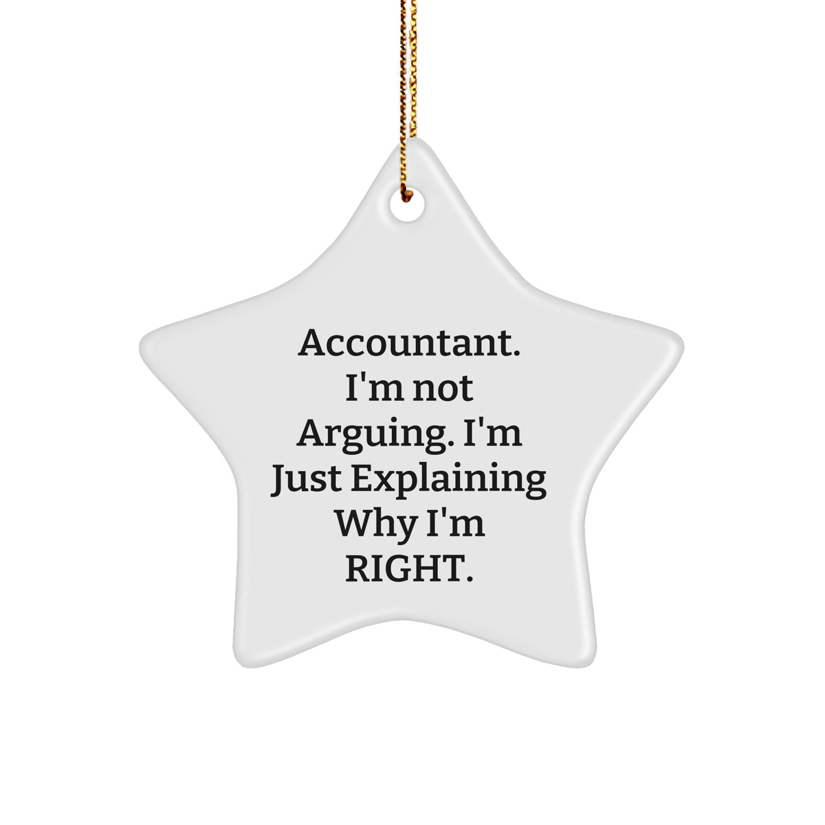 Accountant, I'm Not Arguing. I'm Just Explaining Why I'm Right., Funny Star Ornament Gifts from Friends and Family for Accountants, Christmas Unique Gifts - Image 1