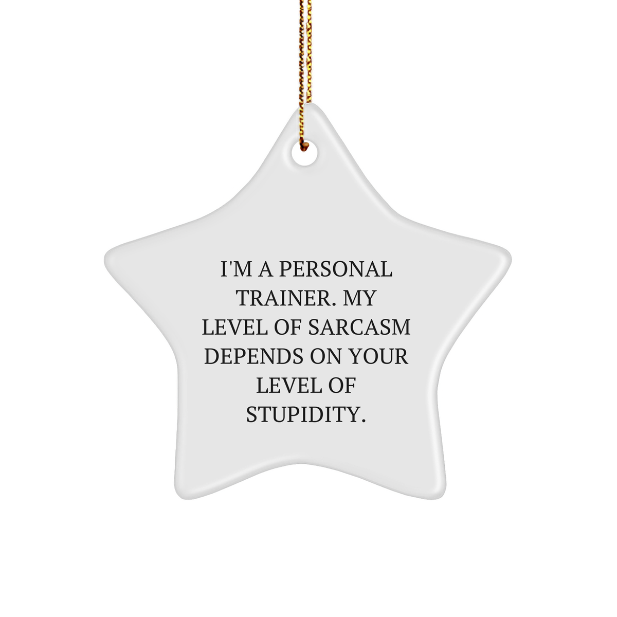 Funny Personal Trainer Star Ornament Gifts for Christmas Personal Trainer Sarcasm Humor Funny Gifts from Santa to My Favorite Fitness Friend - Image 1
