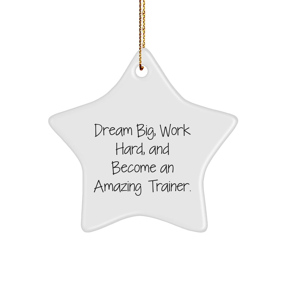 Inspirational Trainer Gifts from Friends for Christmas - Dream Big, Work Hard, Star Ornament - Image 1