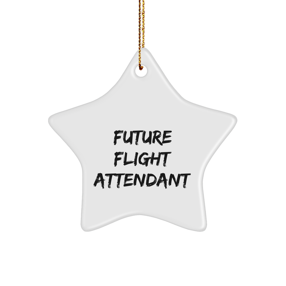 Funny Future Flight Attendant Gifts from Family for Flight Attendant Star Ornament, Christmas Unique Gifts - Image 1